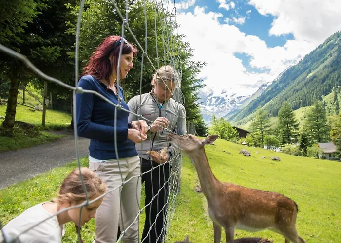 Appartement Oberreiter's Alpennest *