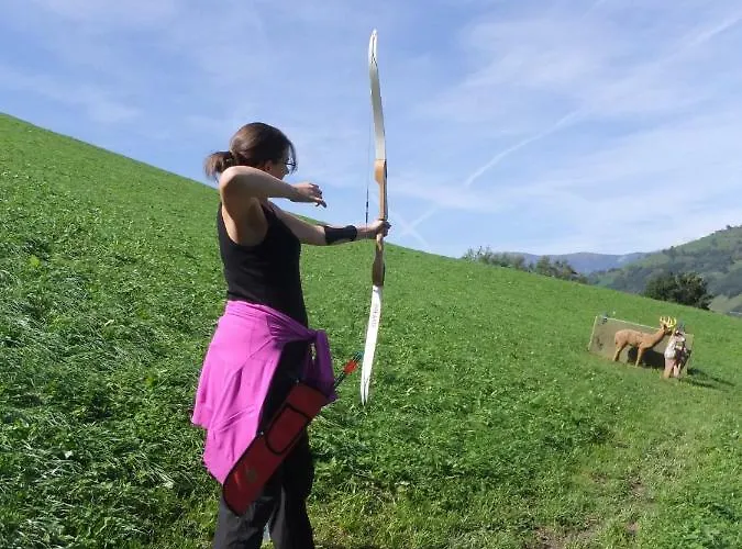 Daire Oberreiter's Alpennest